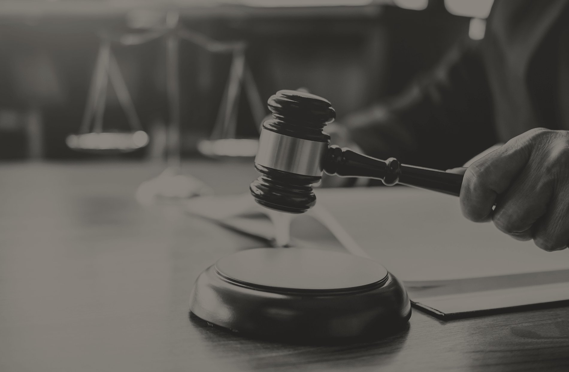 Litigation Services